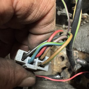 Media 'IMG_4543.jpeg' in category 'Example category'