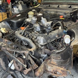 Media 'IMG_4548.jpeg' in category 'Example category'